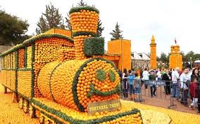 Festival Turları