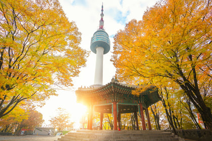 Comfort Japonya Kore Turu THY ile Ekstra Turlar Dahil / 8 Gece Otel Konaklamalı / İstanbul Çıkışlı / 2027