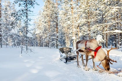 Dolu Dolu Lapland Beyaz Rotalar Turu THY ile Yılbaşı Özel Ekstra Turlar Dahil / 3 Gece Otel Konaklamalı / İstanbul Çıkışlı