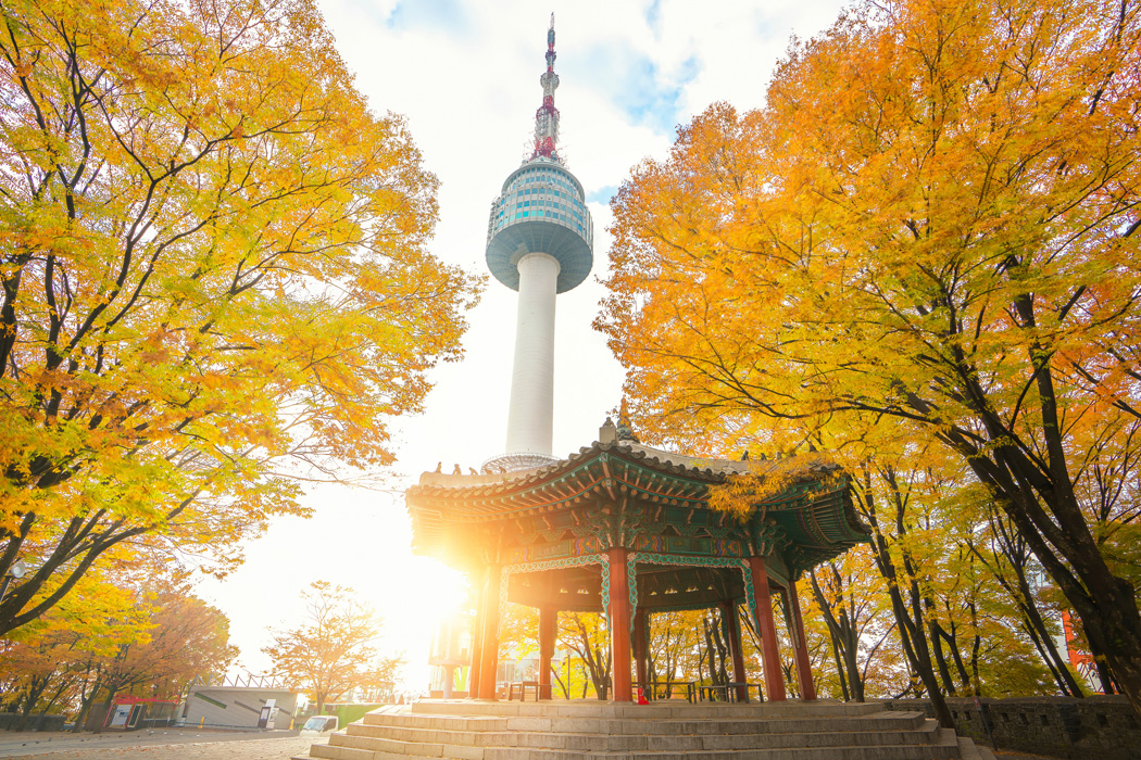 Comfort Japonya Kore Turu THY ile Sömestir Özel Ekstra Turlar Dahil / 7 Gece Otel Konaklamalı / İstanbul Çıkışlı / 2027