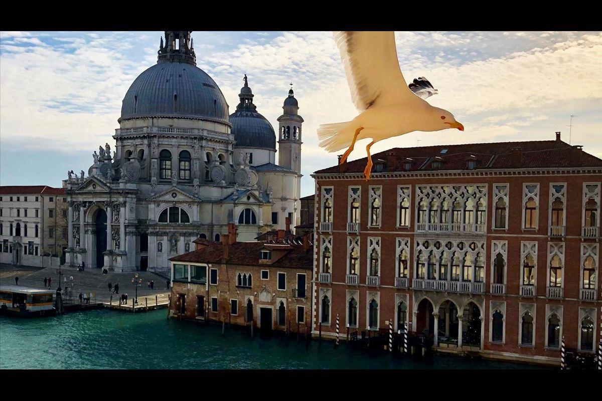 Grand Viva İtalya Turu THY ile Ekstra Turlar Dahil / 4 Gece Otel Konaklamalı / İstanbul Çıkışlı / Roma Gidiş