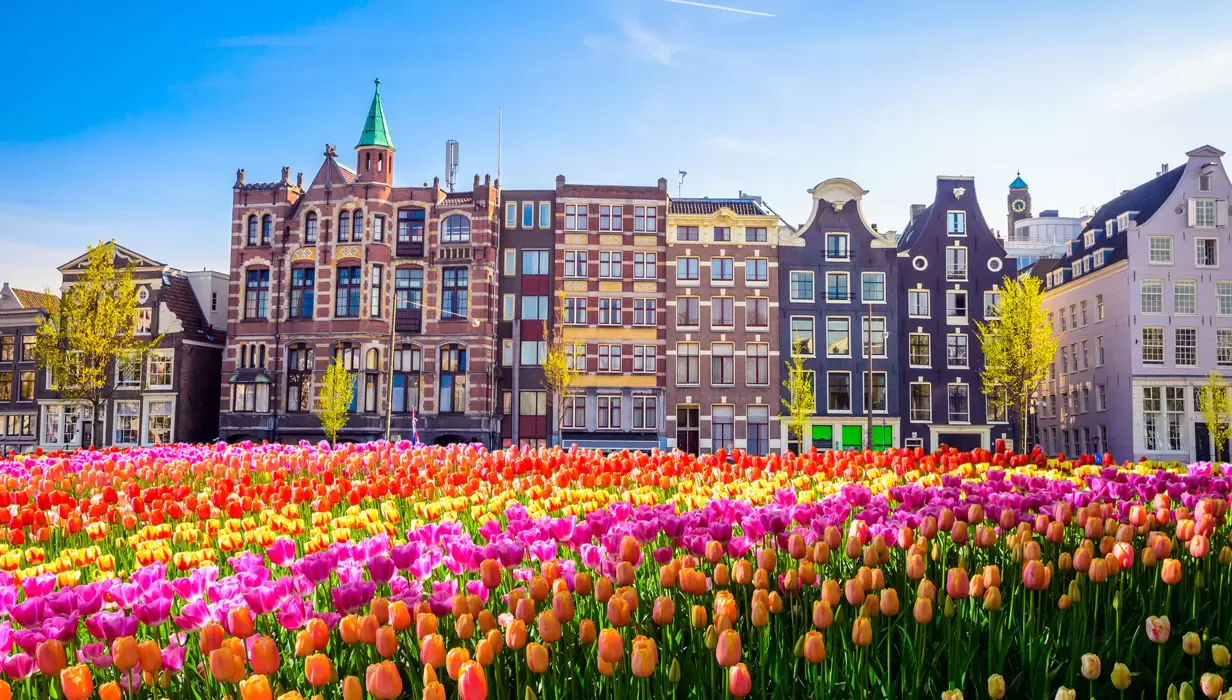 Mega Benelüks Paris Köln ve Colmar Turu SunEkspress ile Kasım Ara Tatil Özel / 6 Gece Otel Konaklamalı / Adana Çıkışlı