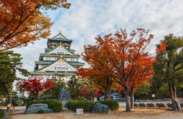 Noel Zamanı Japonya Turu THY ile Vizesiz Ekstra Turlar Dahil / 7 Gece Otel Konaklamalı / İstanbul Çıkışlı