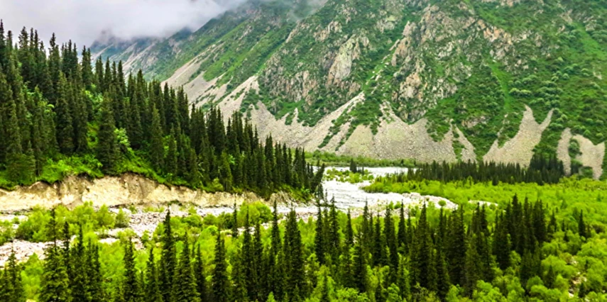 Orta Asya'nın İncileri Turu THY ile Vizesiz Ekstra Turlar Dahil / 6 Gece Otel Konaklamalı / İstanbul Çıkışlı