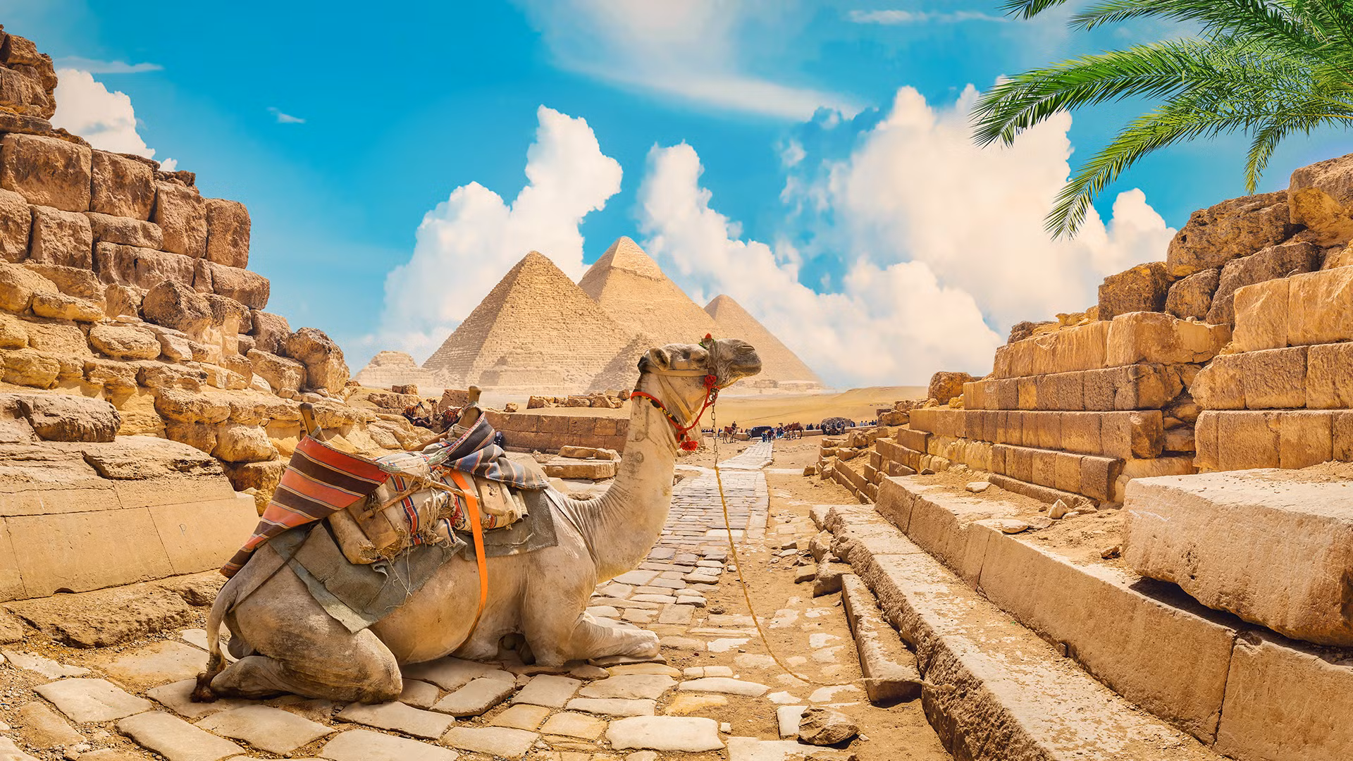 Prestij Sharm ve Kahire Turu Freebird ile / 4 Gece Otel Konaklamalı / Adana Çıkışlı