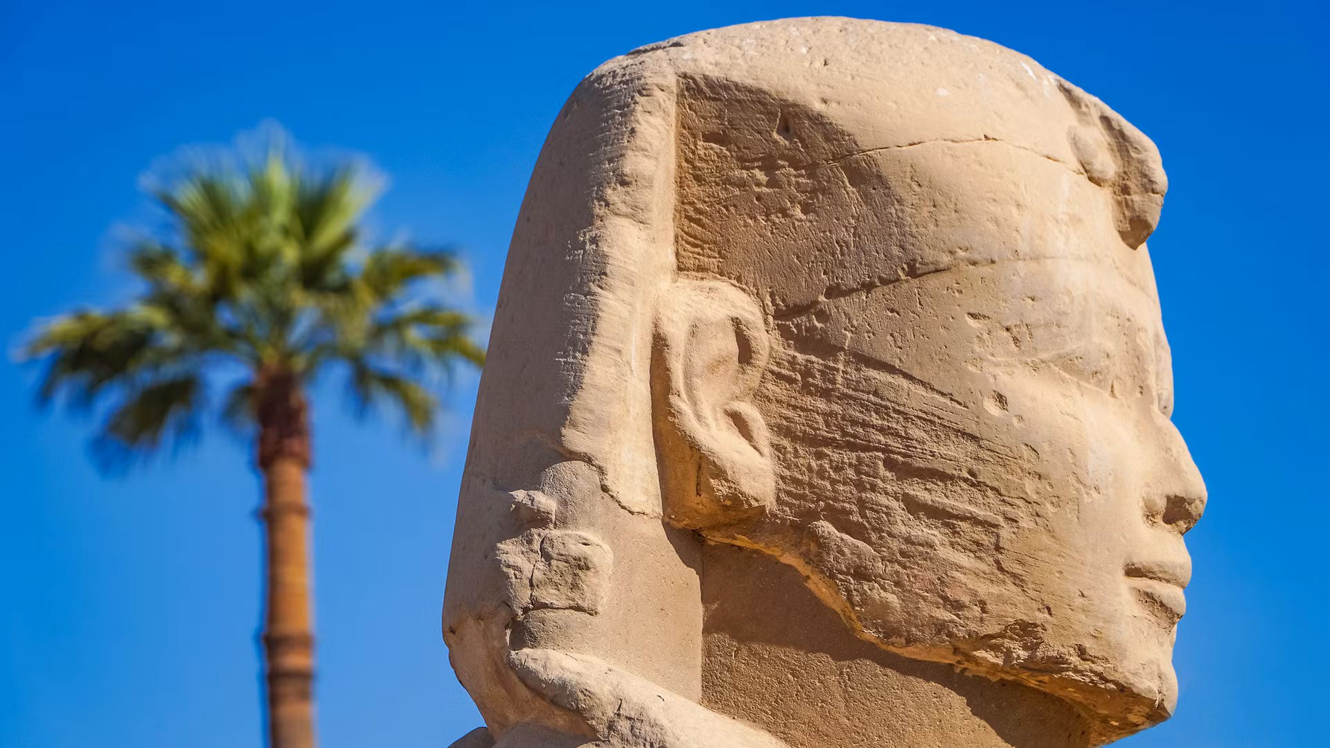 Prestij Sharm ve Kahire Turu Freebird ile / 4 Gece Otel Konaklamalı / Adana Çıkışlı