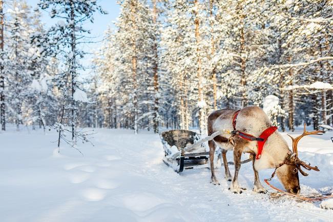 Süper Promo Lapland Beyaz Rotalar Turu THY ile / 3 Gece Otel Konaklamalı / İstanbul Çıkışlı / Rovaniemi Gidiş / 2027