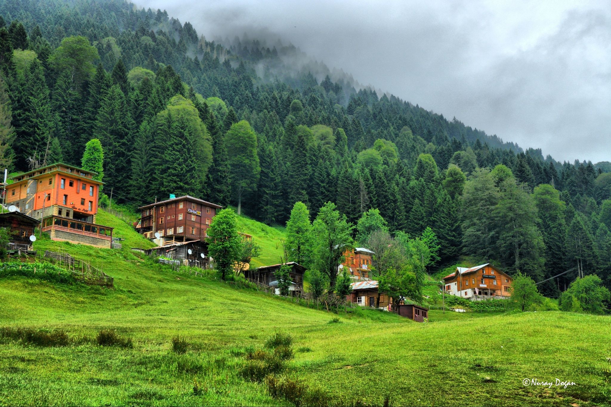 Uçaklı Karadeniz Yaylalar ve Batum Turu (Batum Konaklamalı) / 3 Gece Konaklamalı / Ankara Çıkışlı