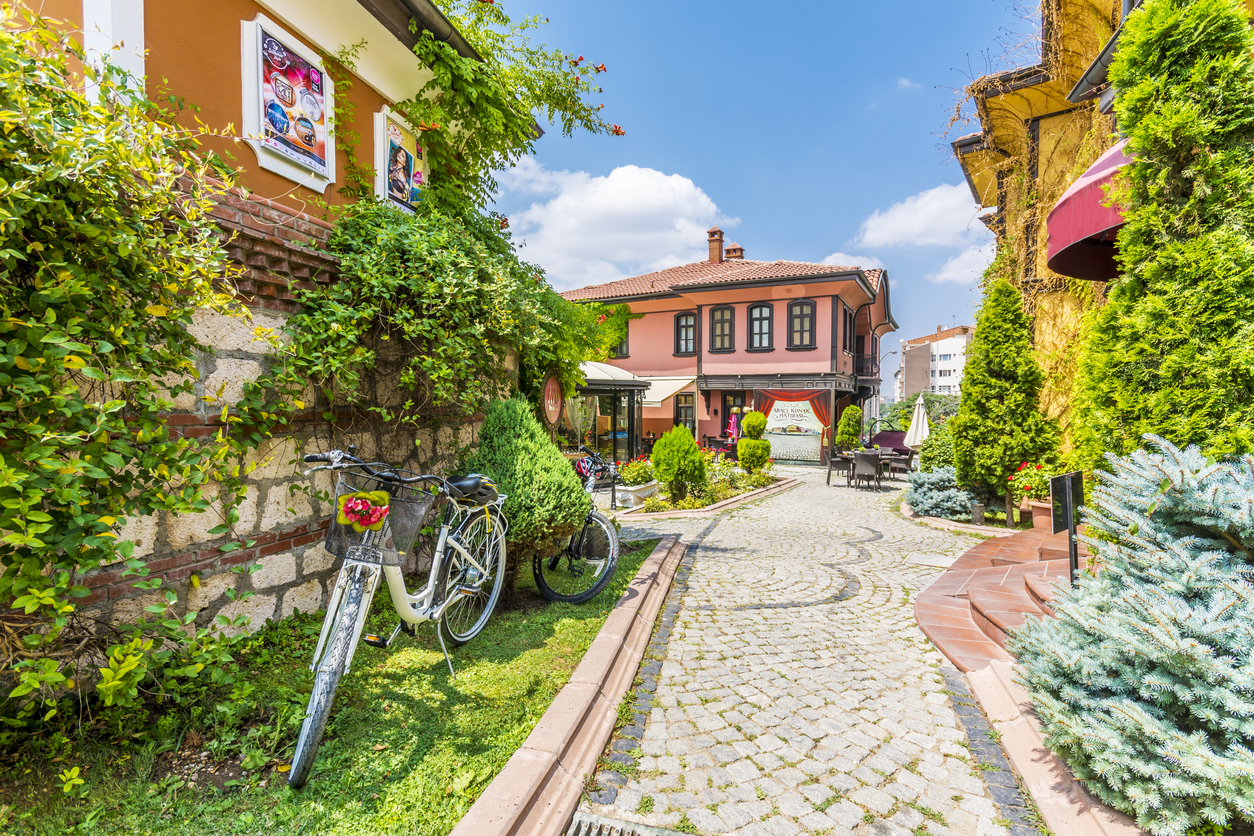 Günübirlik Eskişehir Odunpazarı Turu / İstanbul Çıkışlı