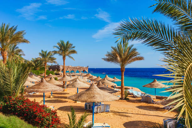 Dolu Dolu Nil'den Kızıldeniz'e Kahire Sharm El Sheikh Rotası Turu Air Cairo ile Ekstra Turlar Dahil / 5 Gece Otel Konaklamalı / İstanbul Çıkışlı