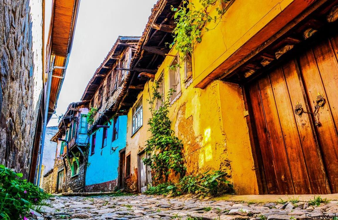 Günübirlik Cumalıkızık Gölyazı Mudanya Trilye Turu / İstanbul Çıkışlı