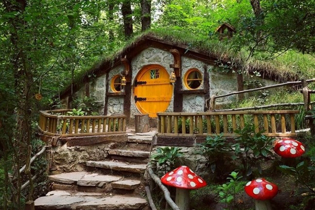 Abant Gölcük Gölü Sapanca Maşukiye Ormanya Turu / 1 Gece Otel Konaklamalı / İstanbul Çıkışlı