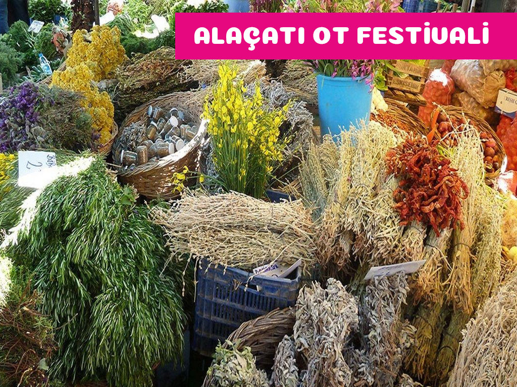 Alaçatı Ot Festivali Turu / 2 Gece Otel Konaklamalı / İstanbul Çıkışlı